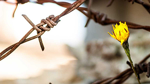 When We Were Together